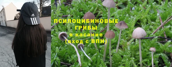 меф Абаза