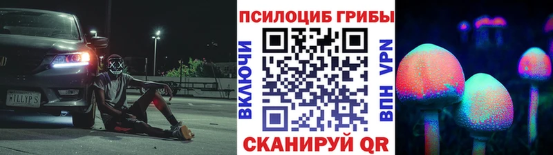 Псилоцибиновые грибы мицелий  цены наркотик  Тетюши 