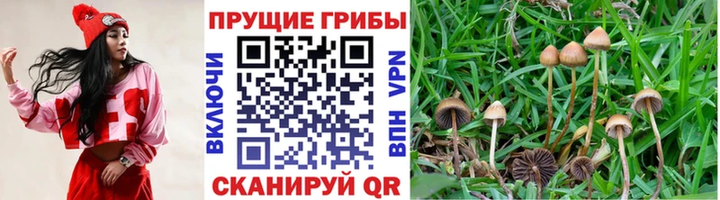 Псилоцибиновые грибы ЛСД Тетюши